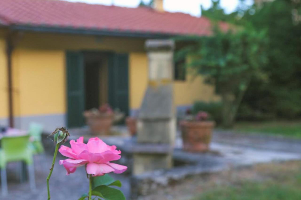 Casa Con Giardino In Mugello A 30 Minuti Da Firenze "Soleluna" Osteria di Novoli Bagian luar foto